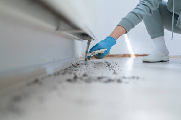 Professional Pest Control in Winfield, WV